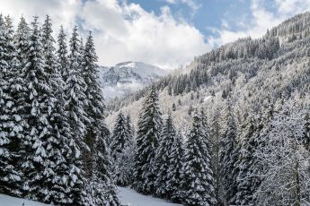 Winterlandschaft im Salzburgerland am Katschberg