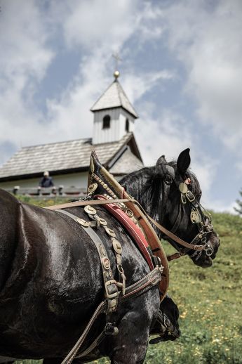 Pferdekutschenfahrt zur Marienkapelle am Katschberg