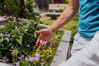Eine Hand, die bunte Blumen und Kräuter in einem Hochbeet berührt und die natürliche Umgebung des Hotel Lärchenhofs zeigt