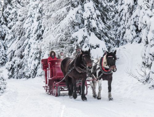 Pferdeschlittenfahrt im Winter am Katschberg