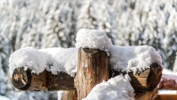 Ein Holzzaun im Winter, bedeckt mit frischem Schnee, umgeben von schneebedeckten Bäumen im Hintergrund