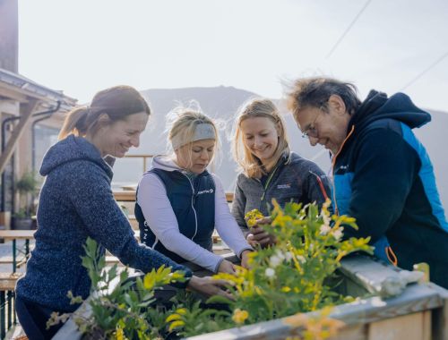 Vier Personen, die zusammen in einem Gemeinschaftsgarten arbeiten, lächelnd und die Pflanzen an einem sonnigen Tag pflegen