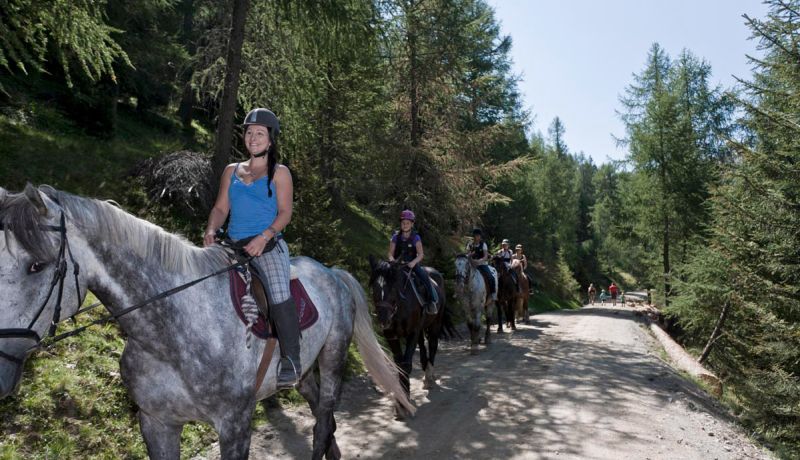 Reiturlaub im SalzburgerLand