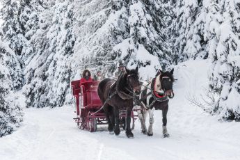 Pferdeschlittenfahrt im Winter am Katschberg