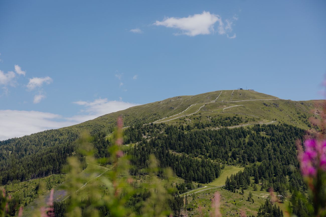 Ein grüner Berghang mit einem Wanderweg, aufgenommen bei klarem Himmel